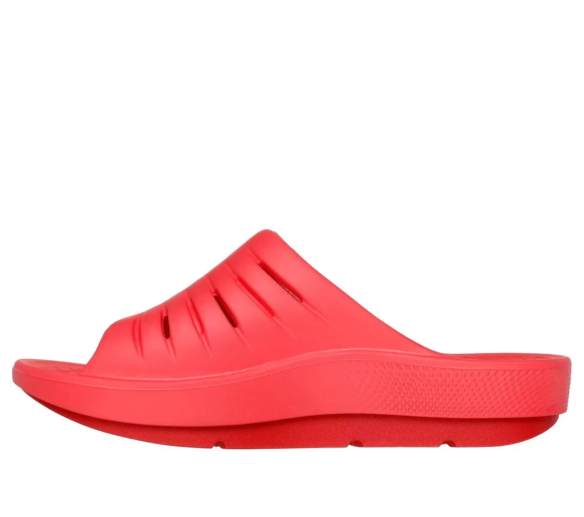 GO RECOVER Refresh GO RECOVER Refresh