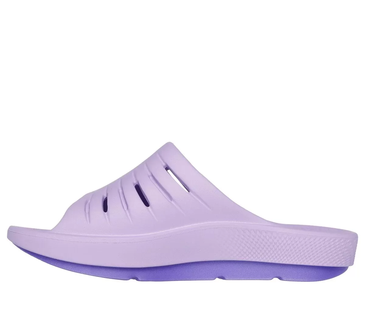 GO RECOVER Refresh GO RECOVER Refresh