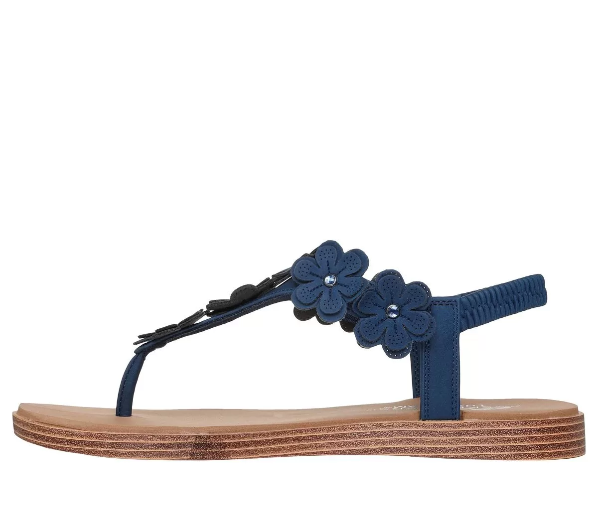 Summer Cove – Beach Bloom Summer Cove – Beach Bloom