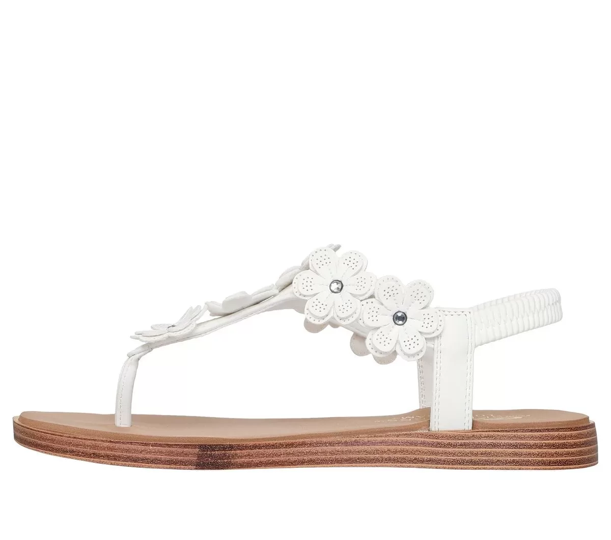 Summer Cove – Beach Bloom Summer Cove – Beach Bloom