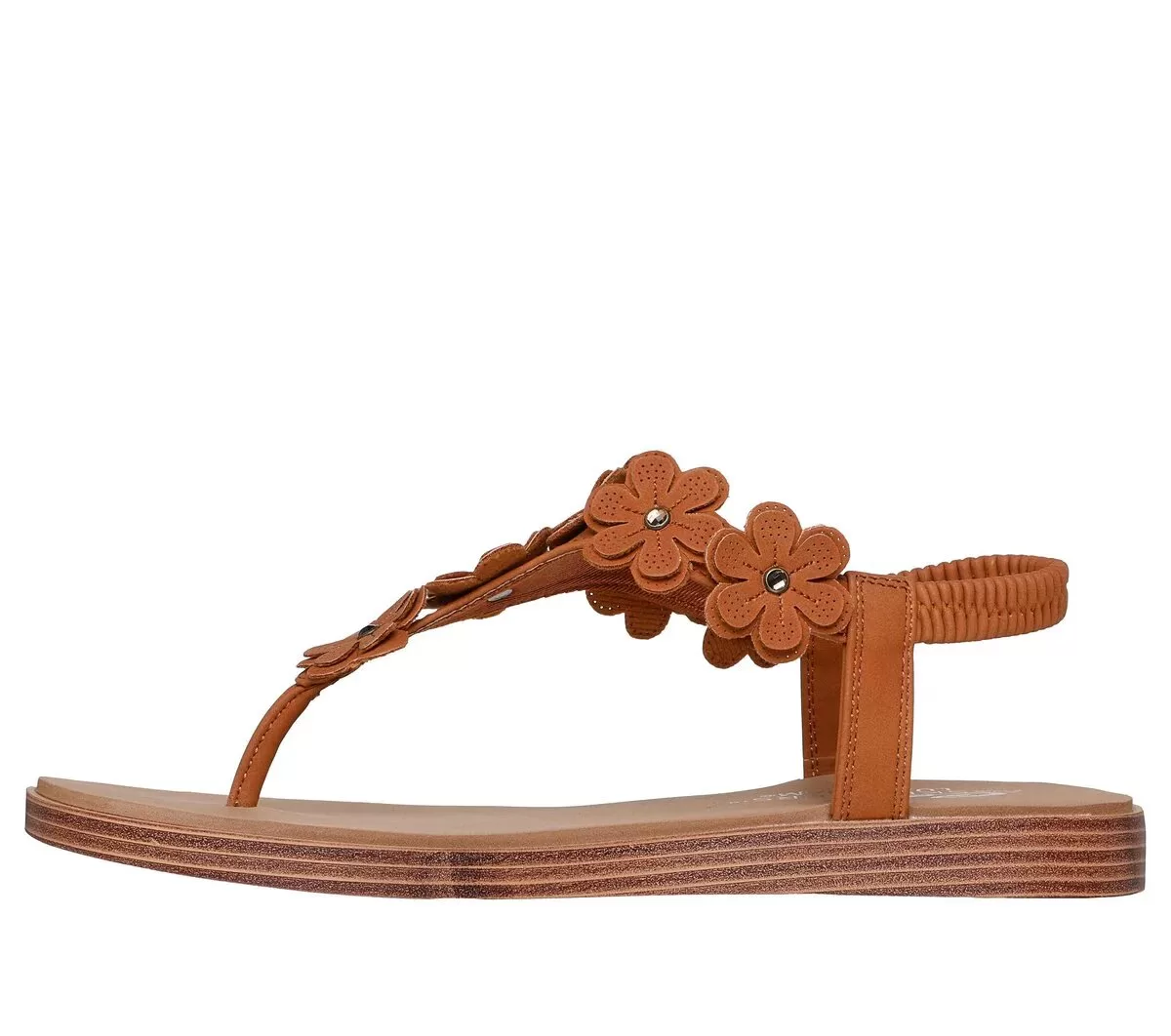 Summer Cove – Beach Bloom Summer Cove – Beach Bloom